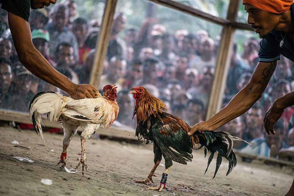 Chọn thời điểm xuống tiền vô cùng quan trọng