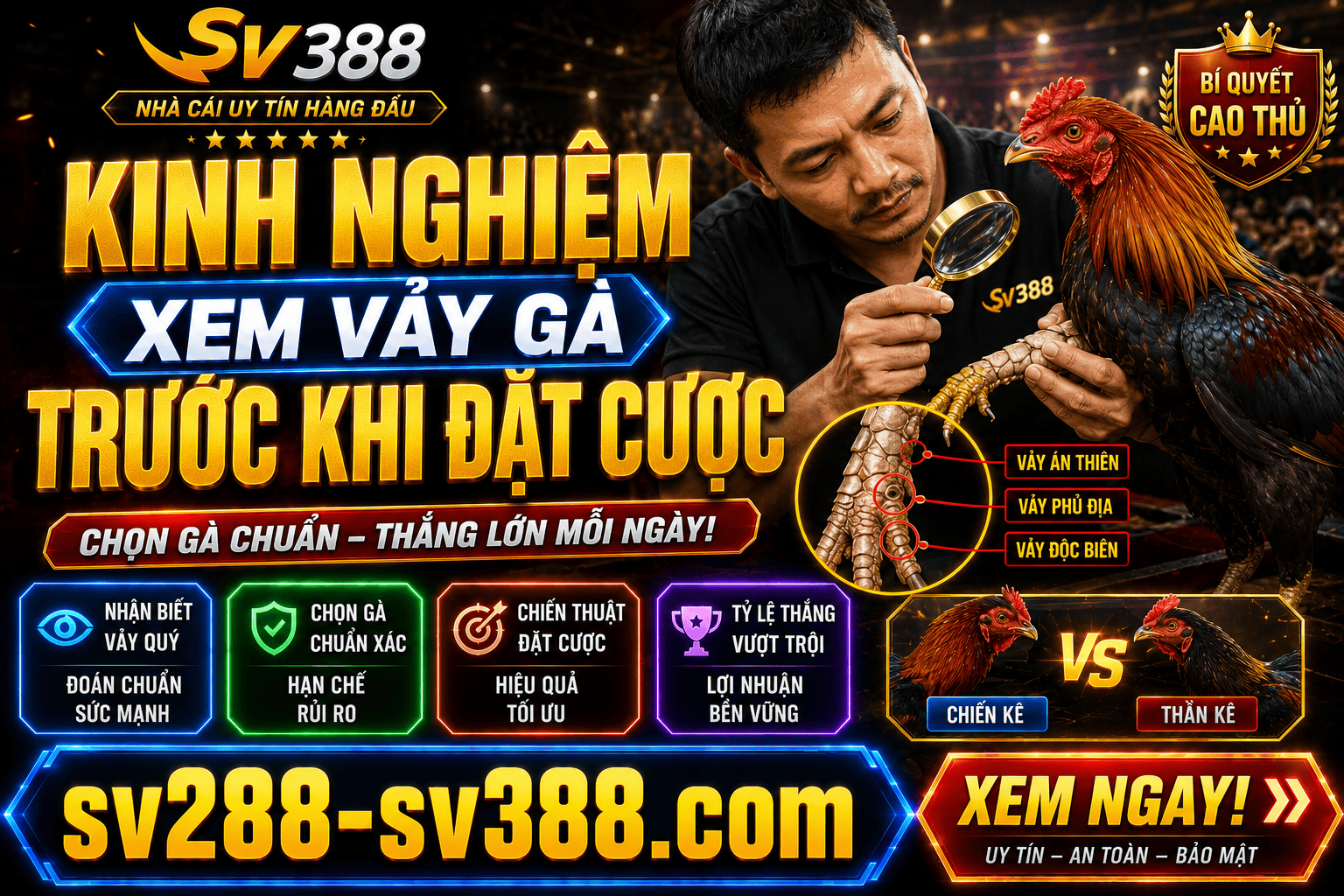 Kinh nghiem xem vay ga truoc khi dat cuoc de danh gia co hoi thang