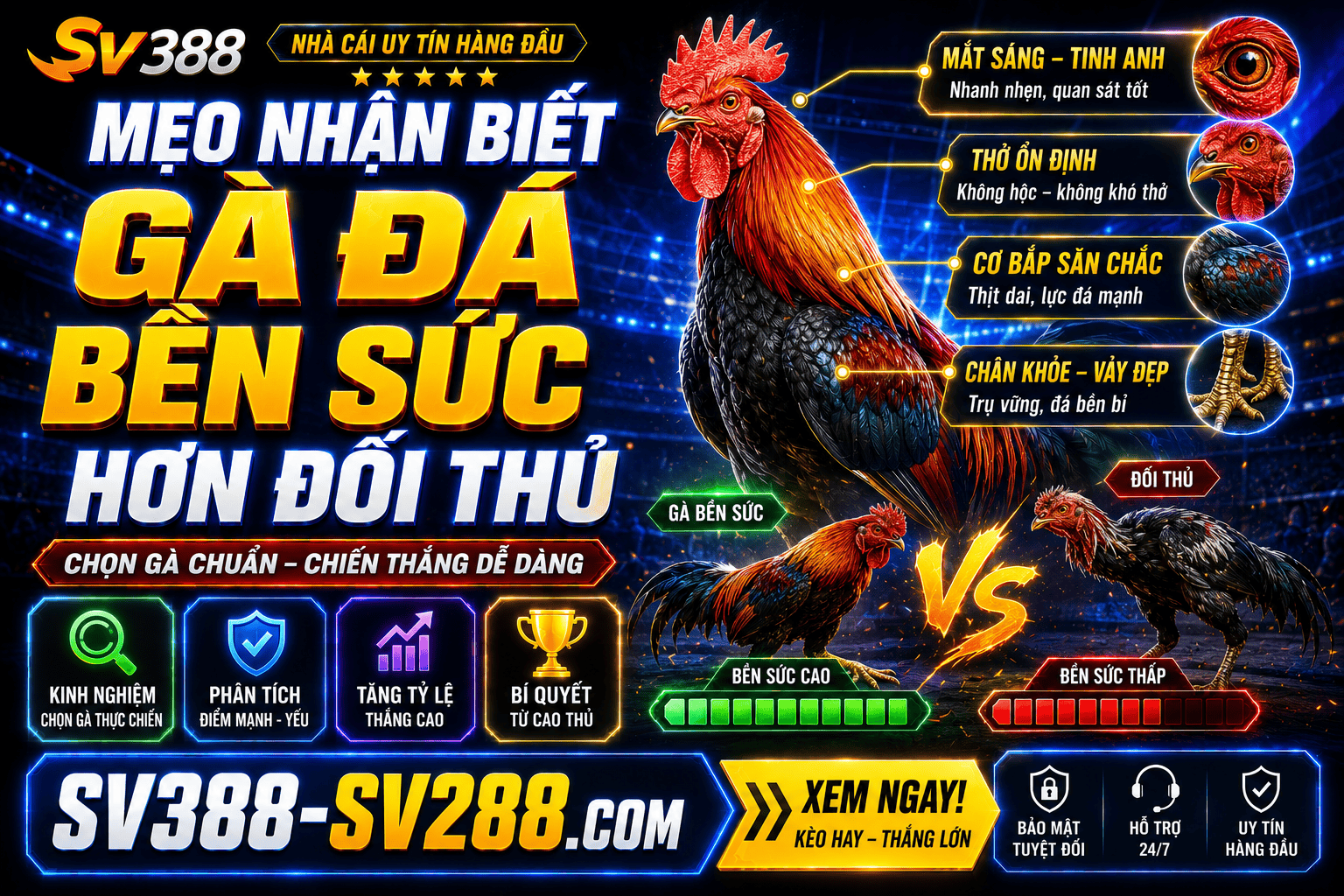 Meo nhan biet ga da ben suc hon doi thu qua nhung dau hieu thuc te