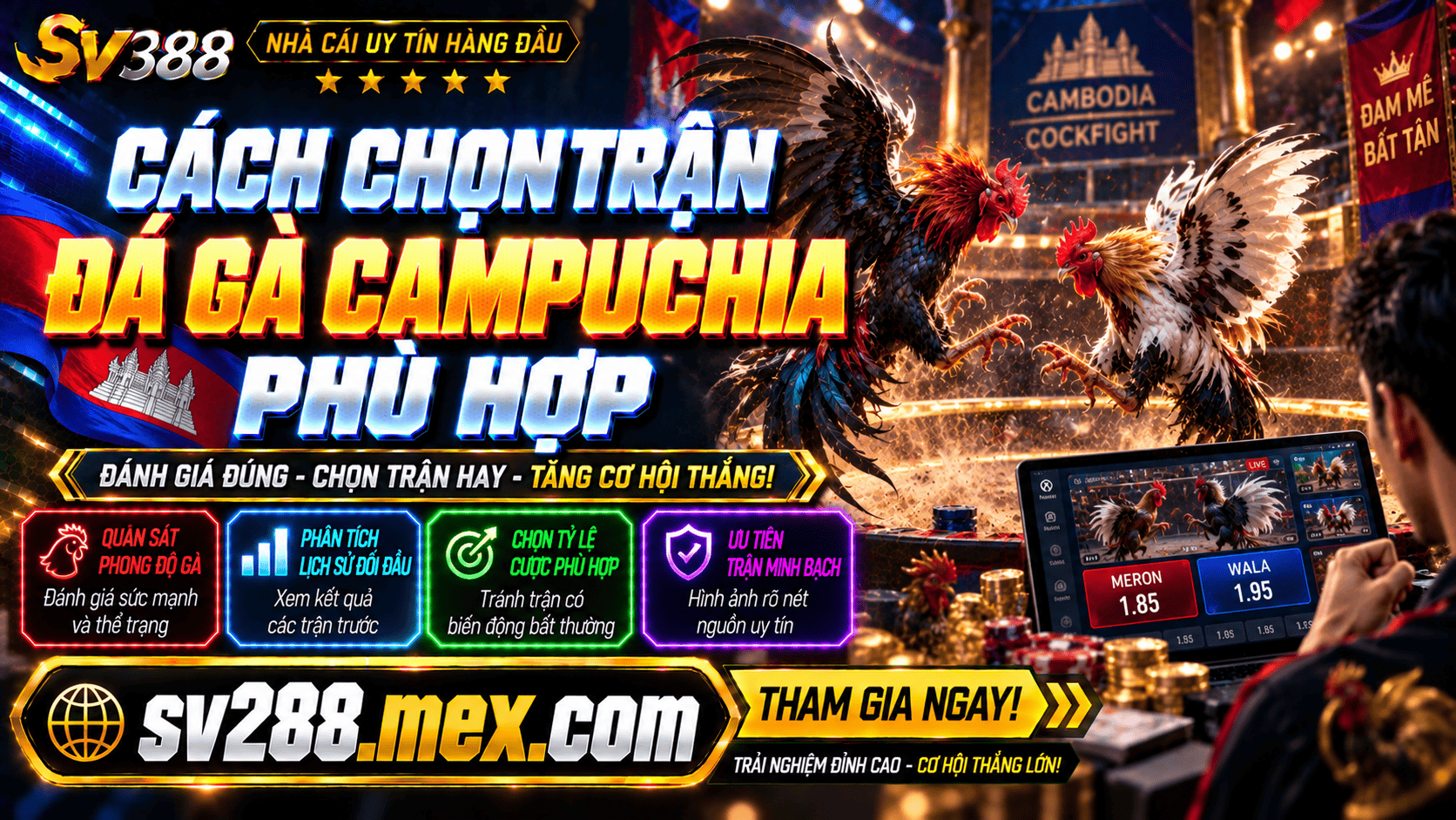 Cach chon tran da ga Campuchia phu hop de tham gia dat cuoc