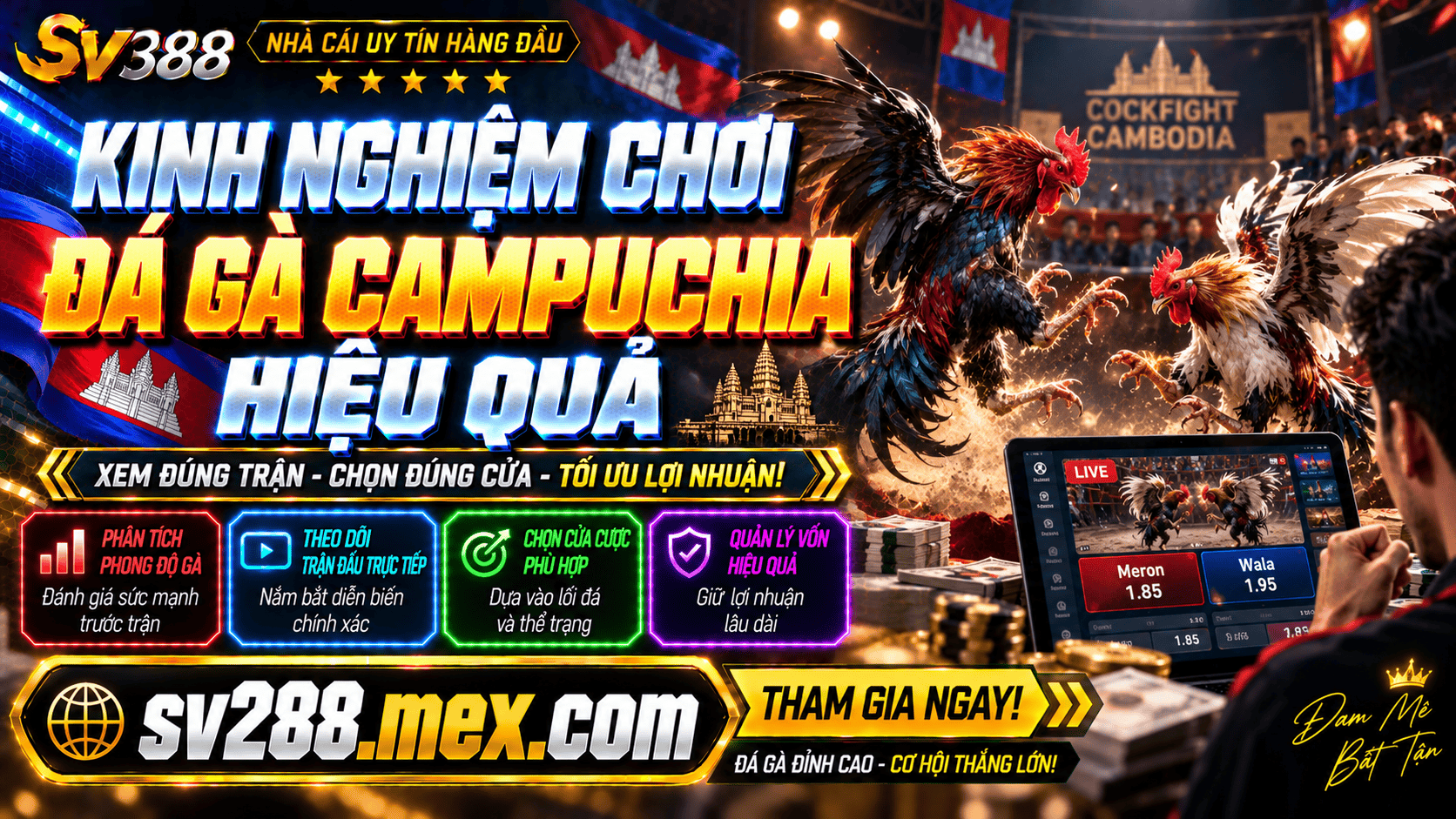 Kinh nghiem choi da ga Campuchia hieu qua giup tang co hoi thang