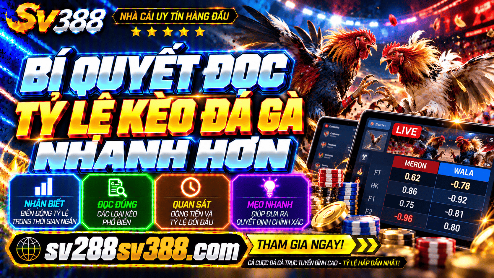 Bí quyết đọc tỷ lệ kèo đá gà nhanh hơn, chính xác chỉ trong vài giây