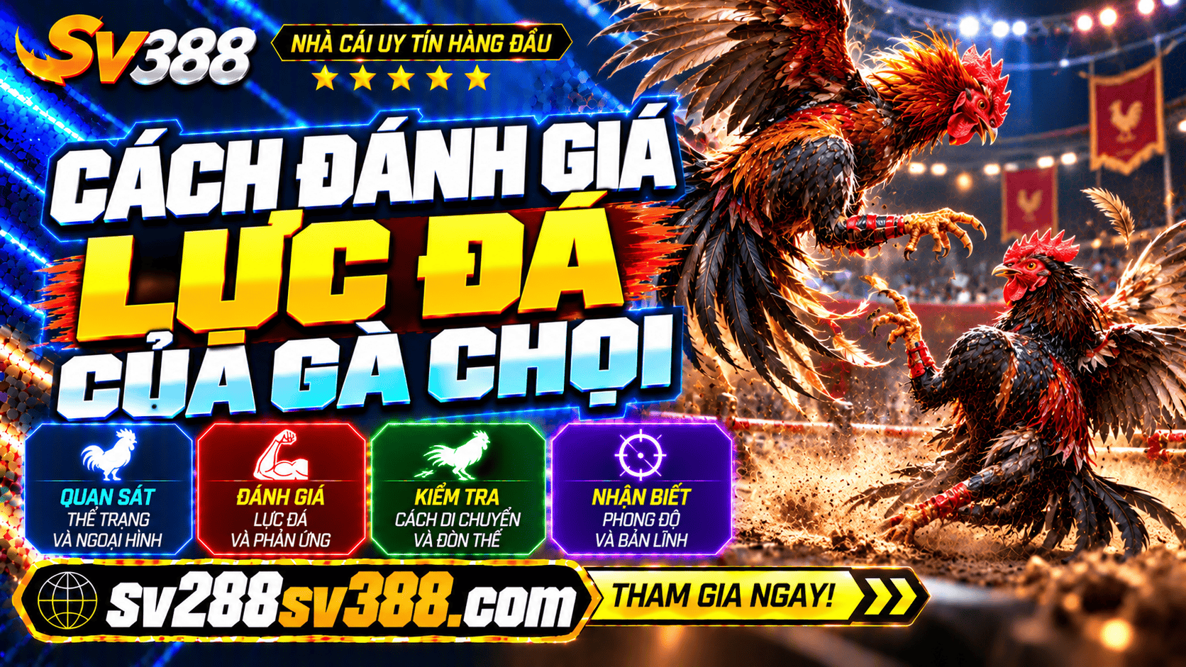 Cach danh gia luc da cua ga choi qua kha nang van dong